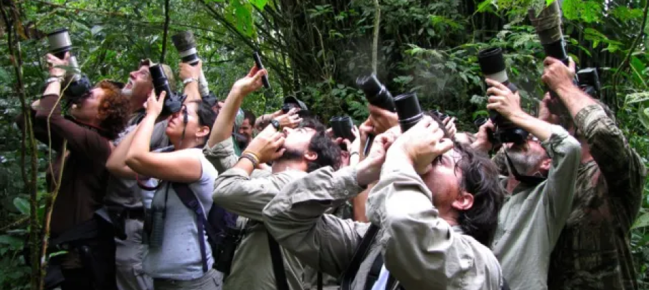 Recepção de Ornitologos Amadores